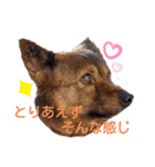 レーベンっ子のおしゃべり2（個別スタンプ：16）
