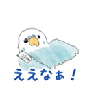 インコのめめちゃん（個別スタンプ：3）