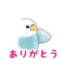 インコのめめちゃん（個別スタンプ：6）