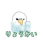 インコのめめちゃん（個別スタンプ：8）