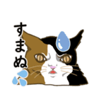 猫の本音ですⅢ（個別スタンプ：7）