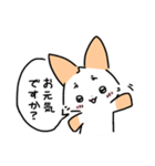 はつらつねこ 2（個別スタンプ：6）