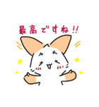 はつらつねこ 2（個別スタンプ：13）