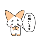 はつらつねこ 2（個別スタンプ：19）