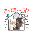 アルパカちゃん達（個別スタンプ：15）