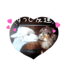 アルパカちゃん達（個別スタンプ：23）
