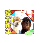 アルパカちゃん達（個別スタンプ：27）
