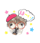 アルパカちゃん達（個別スタンプ：31）