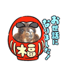 アルパカちゃん達（個別スタンプ：37）
