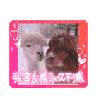 アルパカちゃん達（個別スタンプ：38）
