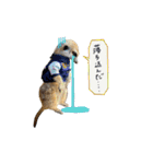 ミーアキャットunoちゃんです（個別スタンプ：14）