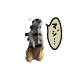 ミーアキャットunoちゃんです（個別スタンプ：15）