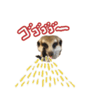 ミーアキャットunoちゃんです（個別スタンプ：22）