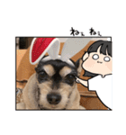 どうも犬でごさんす（個別スタンプ：8）