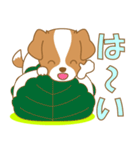 わんこ日和(ジャックラッセル)-toYvu-（個別スタンプ：29）