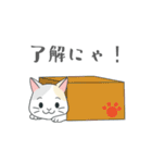 ネコネコにゃんこスタンプ（個別スタンプ：21）