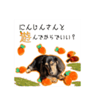 ラムちゃんのすたぁんぷ（個別スタンプ：1）