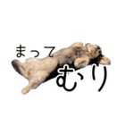 ラムちゃんのすたぁんぷ（個別スタンプ：3）