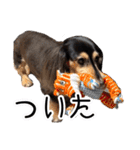 ラムちゃんのすたぁんぷ（個別スタンプ：5）