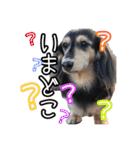 ラムちゃんのすたぁんぷ（個別スタンプ：6）