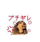 ラムちゃんのすたぁんぷ（個別スタンプ：10）