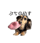 ラムちゃんのすたぁんぷ（個別スタンプ：11）