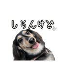 ラムちゃんのすたぁんぷ（個別スタンプ：14）