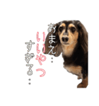 ラムちゃんのすたぁんぷ（個別スタンプ：20）