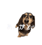 ラムちゃんのすたぁんぷ（個別スタンプ：21）