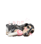 ラムちゃんのすたぁんぷ（個別スタンプ：26）
