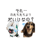 ラムちゃんのすたぁんぷ（個別スタンプ：31）