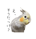 うちのカワイイちびっこたちPart18（個別スタンプ：1）