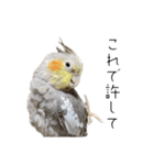 うちのカワイイちびっこたちPart18（個別スタンプ：3）