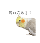 うちのカワイイちびっこたちPart18（個別スタンプ：5）