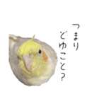 うちのカワイイちびっこたちPart18（個別スタンプ：9）