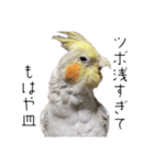 うちのカワイイちびっこたちPart18（個別スタンプ：13）