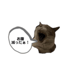 JBのスタンプ ☆第6弾☆（個別スタンプ：13）