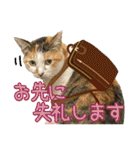 Johnny ＆ Chocola ＆ かりん ⑪（個別スタンプ：6）