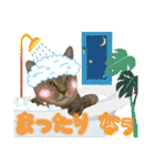 Johnny ＆ Chocola ＆ かりん ⑪（個別スタンプ：13）