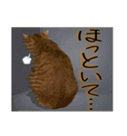 Johnny ＆ Chocola ＆ かりん ⑪（個別スタンプ：17）