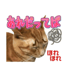 Johnny ＆ Chocola ＆ かりん ⑪（個別スタンプ：27）