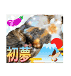 Johnny ＆ Chocola ＆ かりん ⑪（個別スタンプ：38）