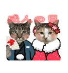 Johnny ＆ Chocola ＆ かりん ⑪（個別スタンプ：39）