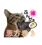 Johnny ＆ Chocola ＆ かりん ⑪（個別スタンプ：40）