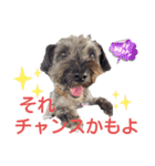 レーベンっ子のおしゃべり3（個別スタンプ：4）