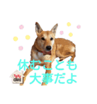 レーベンっ子のおしゃべり3（個別スタンプ：5）