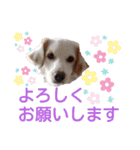 レーベンっ子のおしゃべり3（個別スタンプ：9）