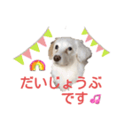 レーベンっ子のおしゃべり3（個別スタンプ：10）