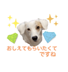 レーベンっ子のおしゃべり3（個別スタンプ：12）