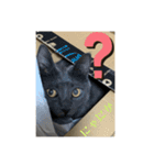 猫の？（個別スタンプ：15）